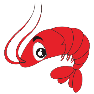 四海花甲